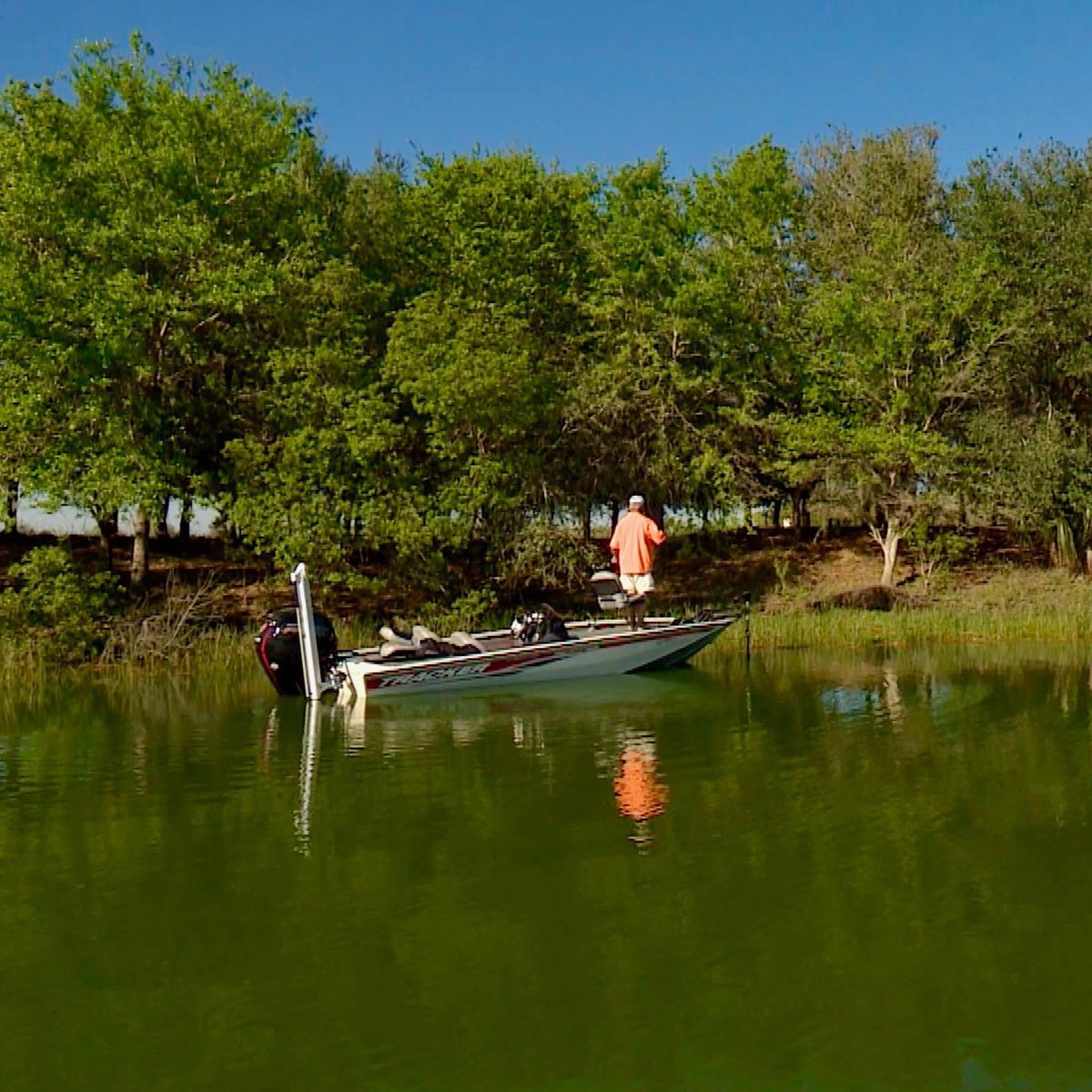 Bill Dance tweet media