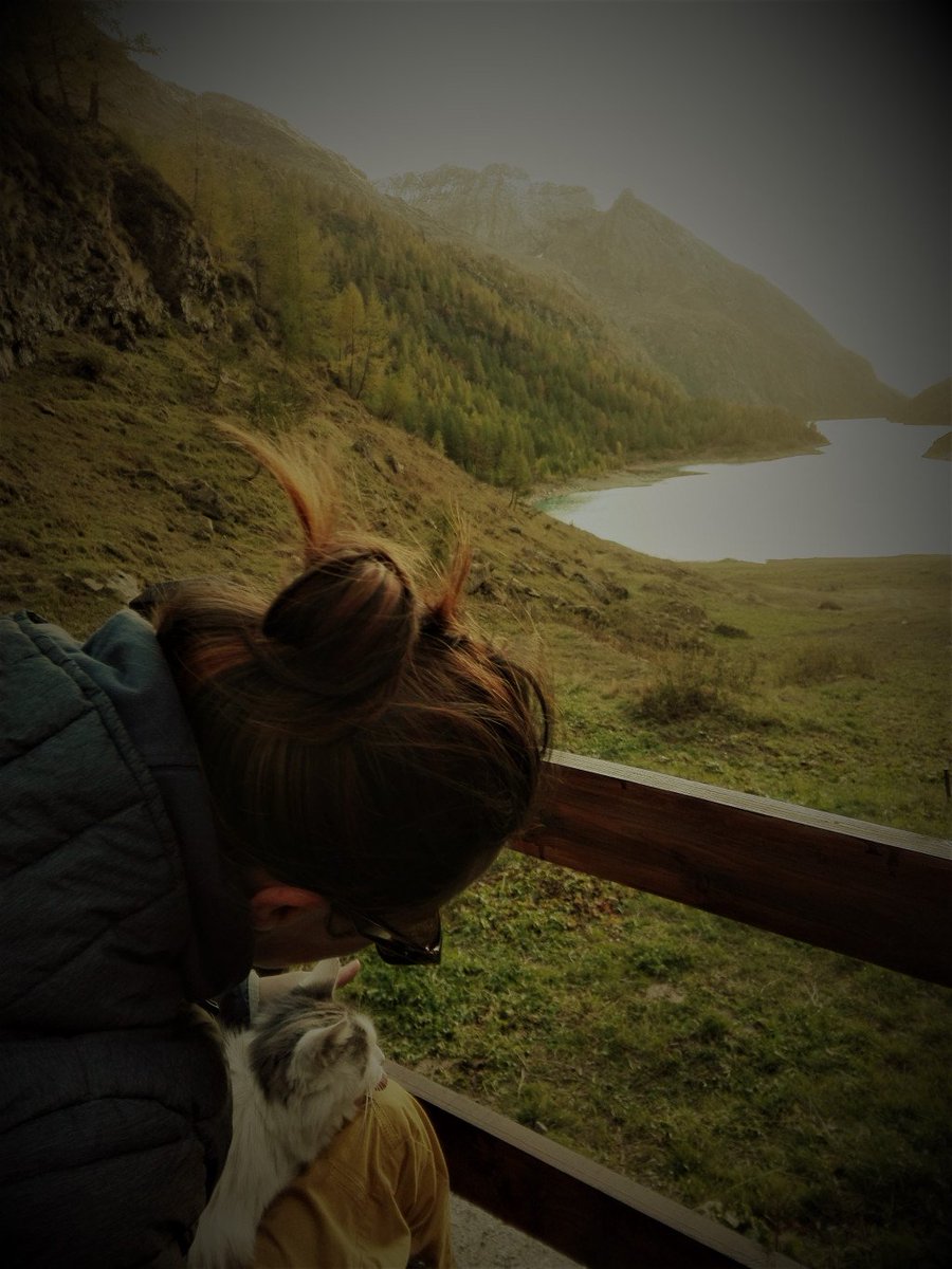 LoliBTTT's tweet photo. Voglio andare al… rifugio https://t.co/6ocsFxPE4c https://t.co/SSYjxkC0Jd