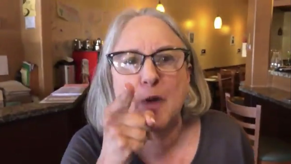 Lois Budoff Zimmerman Facebook - Leftist witch who verbally assaulted Rand Paul worked for Clinton in '16