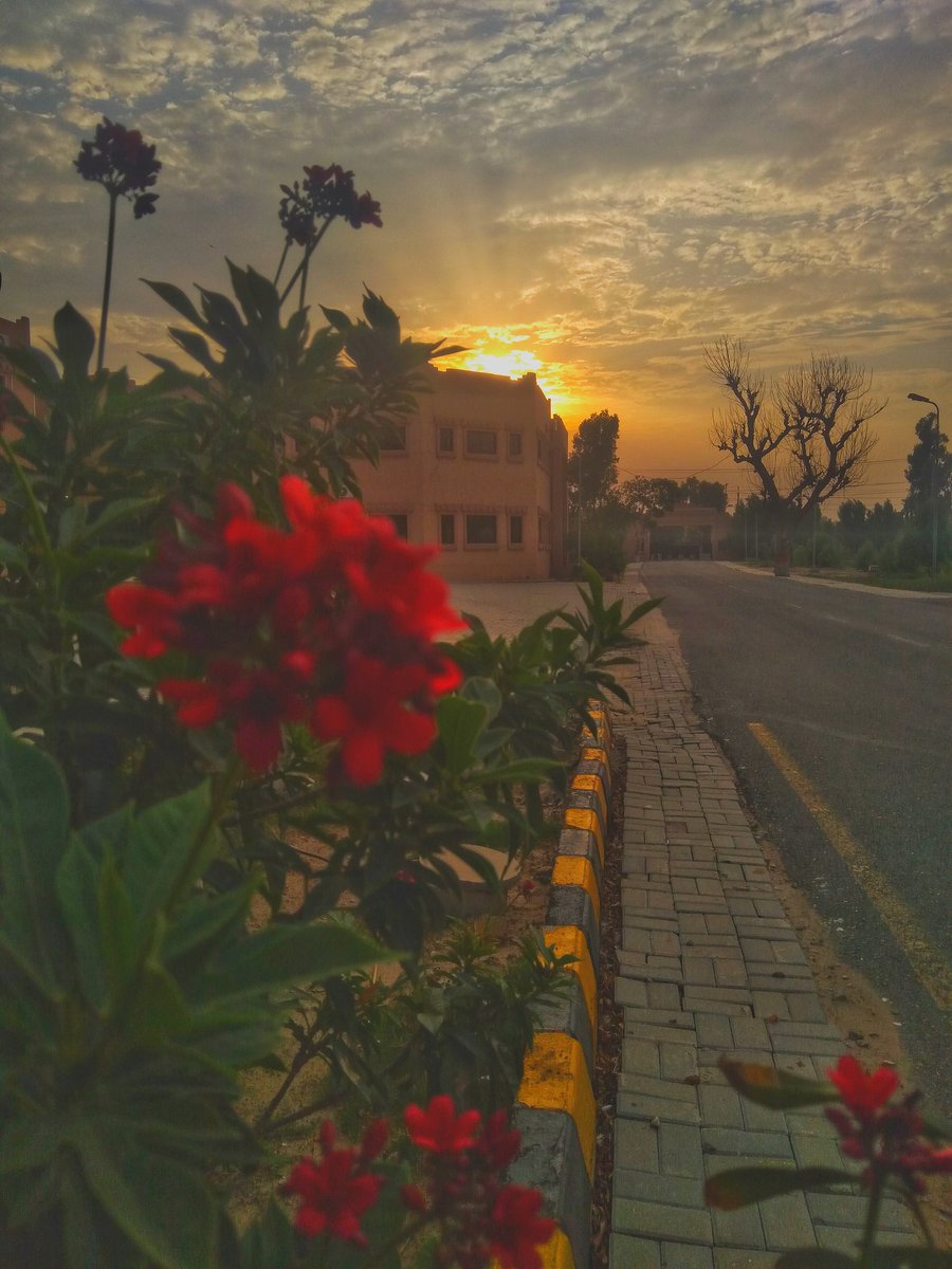 wildmediac's tweet photo. Show some of your sunset clicks,just wana see em to gear up my soul :)
These are for u.
(P.s I am the photographer.) https://t.co/NTbcqjBLlJ