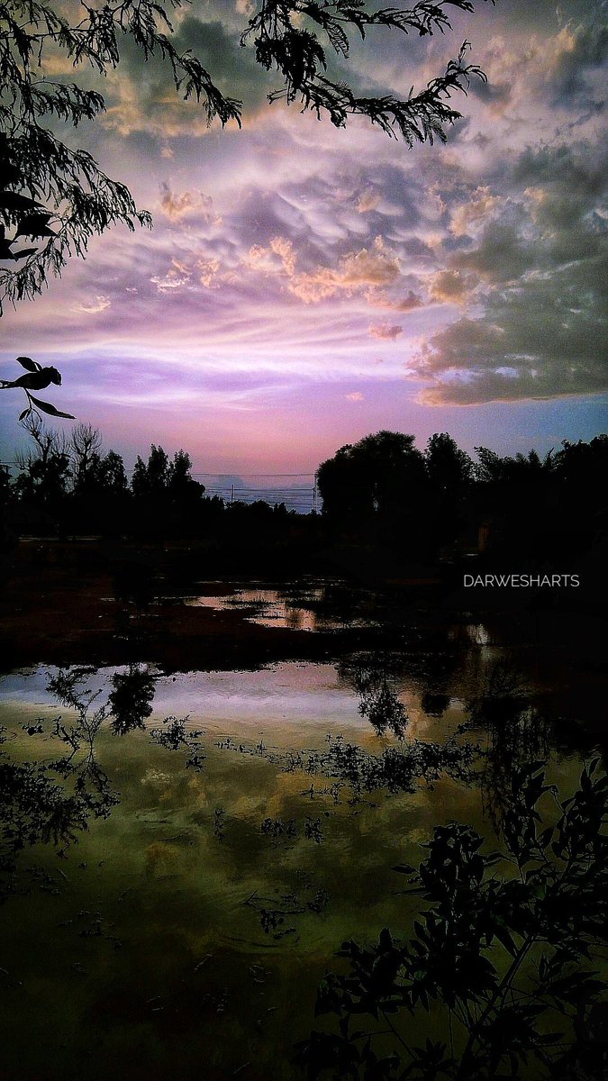 wildmediac's tweet photo. Show some of your sunset clicks,just wana see em to gear up my soul :)
These are for u.
(P.s I am the photographer.) https://t.co/NTbcqjBLlJ