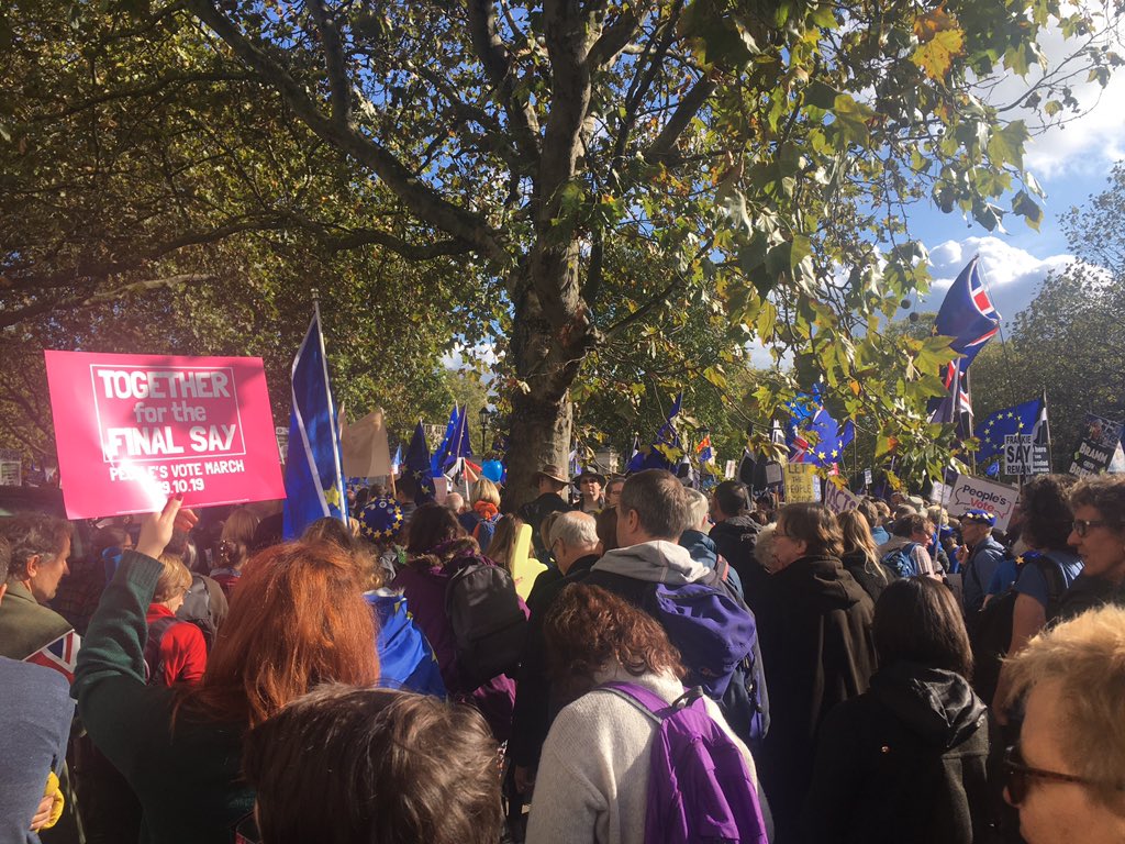 Britain looks pretty good in Yellow and Blue #LetUsBeHeard #PeoplesVoteMarch