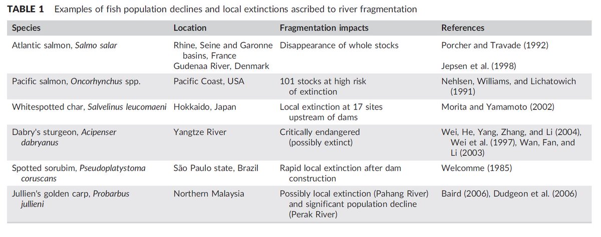 Too many populations have gone extinct or suffered (too) severe declines as a result of river fragmentation (see Table below for a few examples, from:  https://doi.org/10.1002/aqc.2946). It’s time we do something about it. Our  #freshwater ecosystems need(ed) us, like yesterday (14/n)