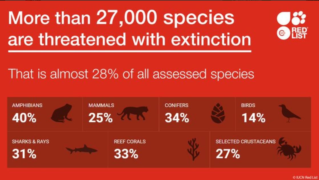 The world (people, organizations etc.) focuses much more on marine and terrestrial ecosystems, often literally excluding  #freshwater at all. Ex: this figure by IUCN. Where the fuck are freshwater species?  #freshwaterneedslovetoo (3/n) Source: IUCN