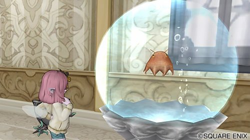 ドラゴンクエストx 公式 バージョン5 0 新たな魚として メンダコ など7種類追加 釣り老師の報酬に ビッグサイズ100種で ふわふわクリオネ キングサイズ70種類で メタル迷宮ペア招待券 2こ が追加されています Dq10 Dqxtv