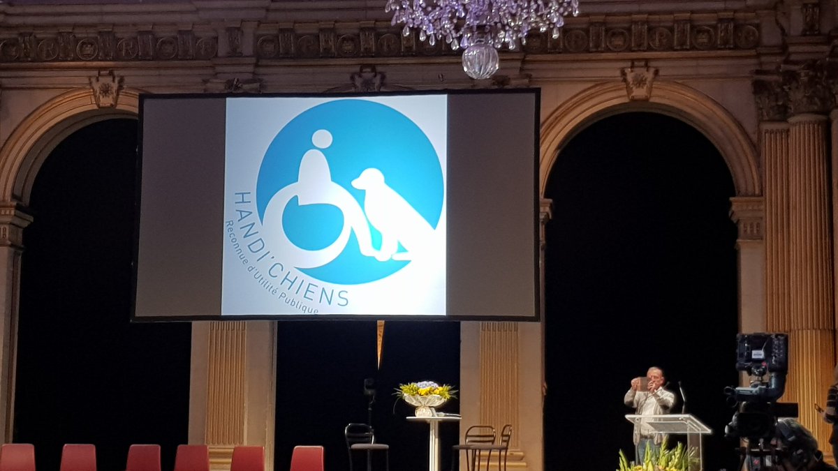 C est parti pour l 'après midi à la mairie de Paris avec cette belle association Handichien 👍👍👍#inclusion