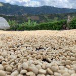 Photo by Collaborative Coffee Source (@collaborativeCS)