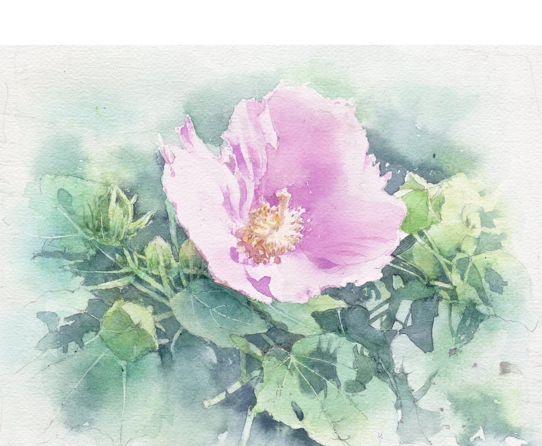 水彩画花 - Search / X