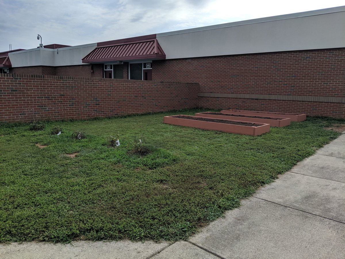 DTES_Landscape tweet media