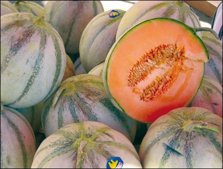 A pile of Charentais melons from Cavaillon, with one cut in half to show the bright orange flesh inside. From the France Revisited article.
