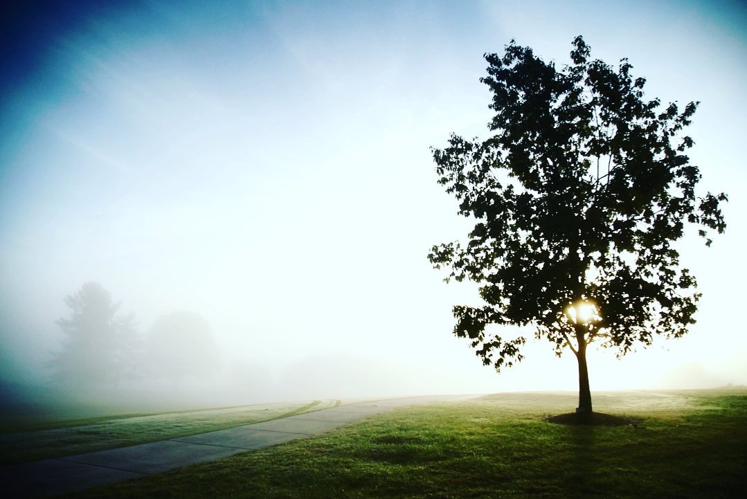 CGAgolf1909's tweet photo. The fog is lifting at @GreensboroCC and the #CaptainsPutter singles matches are underway!
Live Singles Scoring 📲 https://t.co/DEf3bU7F6E https://t.co/lpXBqvpD4i