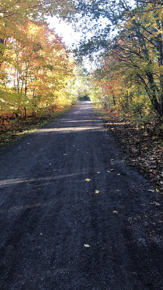 PureCountry94's tweet image. It might be chilly but the sun is out! Here in Stittsville for the #9RunRun and the views are beautiful ☀️🌤🍁🍂