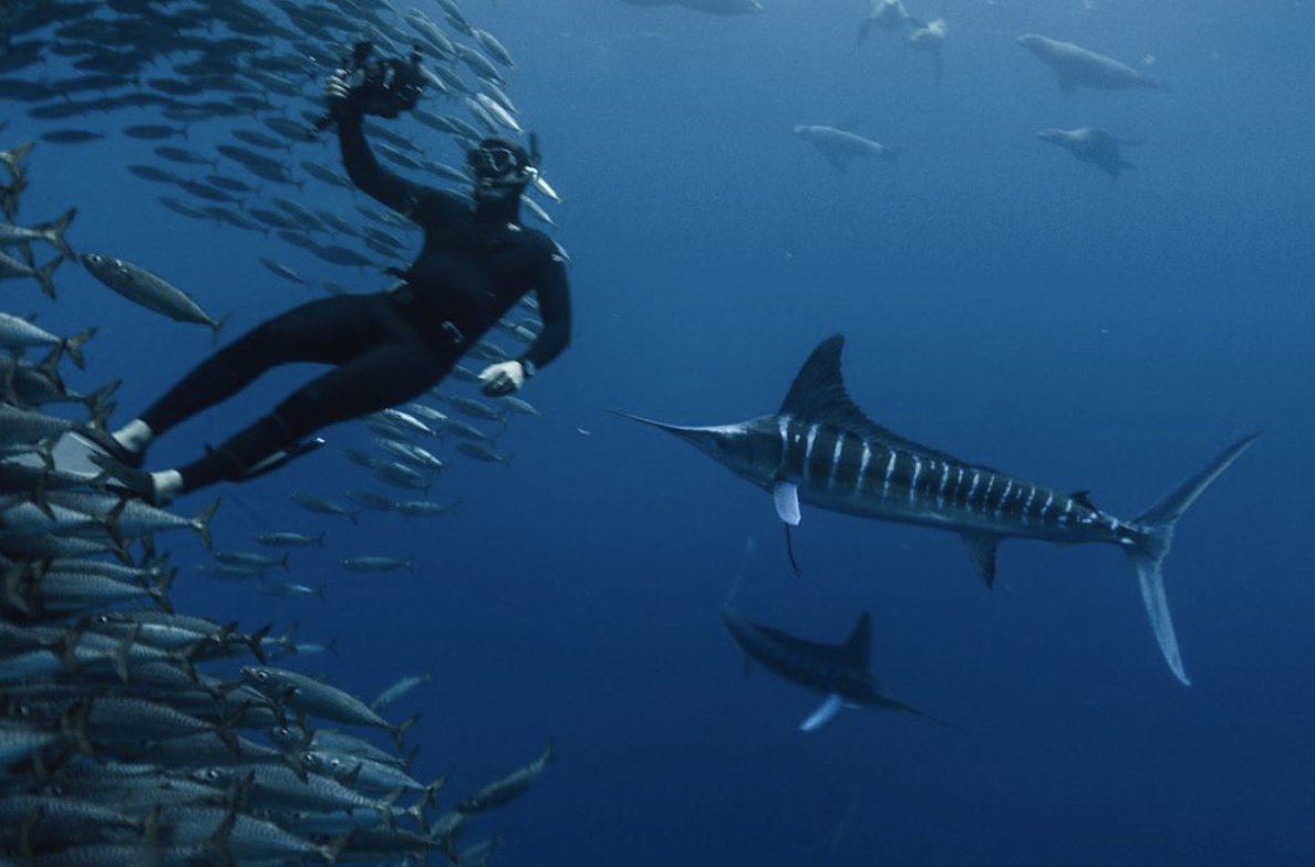 NakaweProject's tweet photo. #Unfortunately Domeier said the tags failed early on in deployment, so more #testing will need to be done and more tags will need to be tried in hopes of one day knowing the life #history of the striped #marlin.
๐ธ: dserradell_photo
#GameOverFishing #LetLive #SaveTheMarlins https://t.co/Bf8xH96aYg