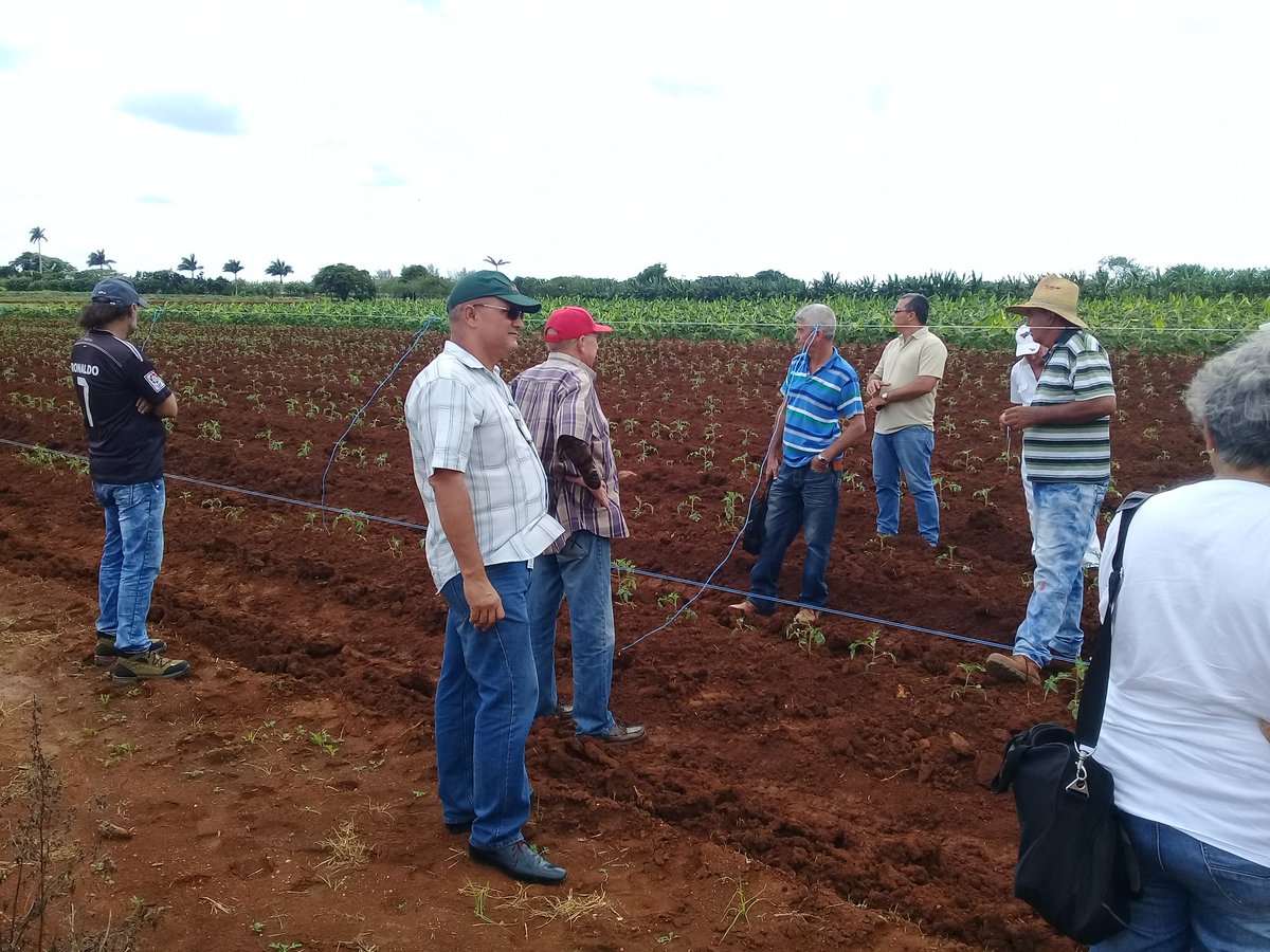 JCANZAR's tweet photo. Capacitación en Mayabeque a productores y directivos teórico práctico elevar los rendimientos nuestro principal objetivo #MINAGCuba #GrupoAgricola #Geafmayabeque https://t.co/8ONUlq3xaB