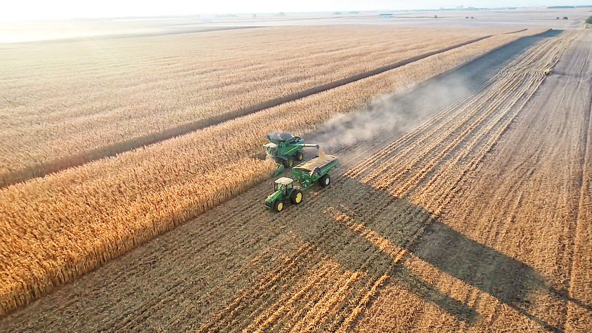 EvanLeake's tweet photo. Another  day in paradise. #Harvest2019 #JohnDeere #BruckerFarms https://t.co/WrdkdHHEcV