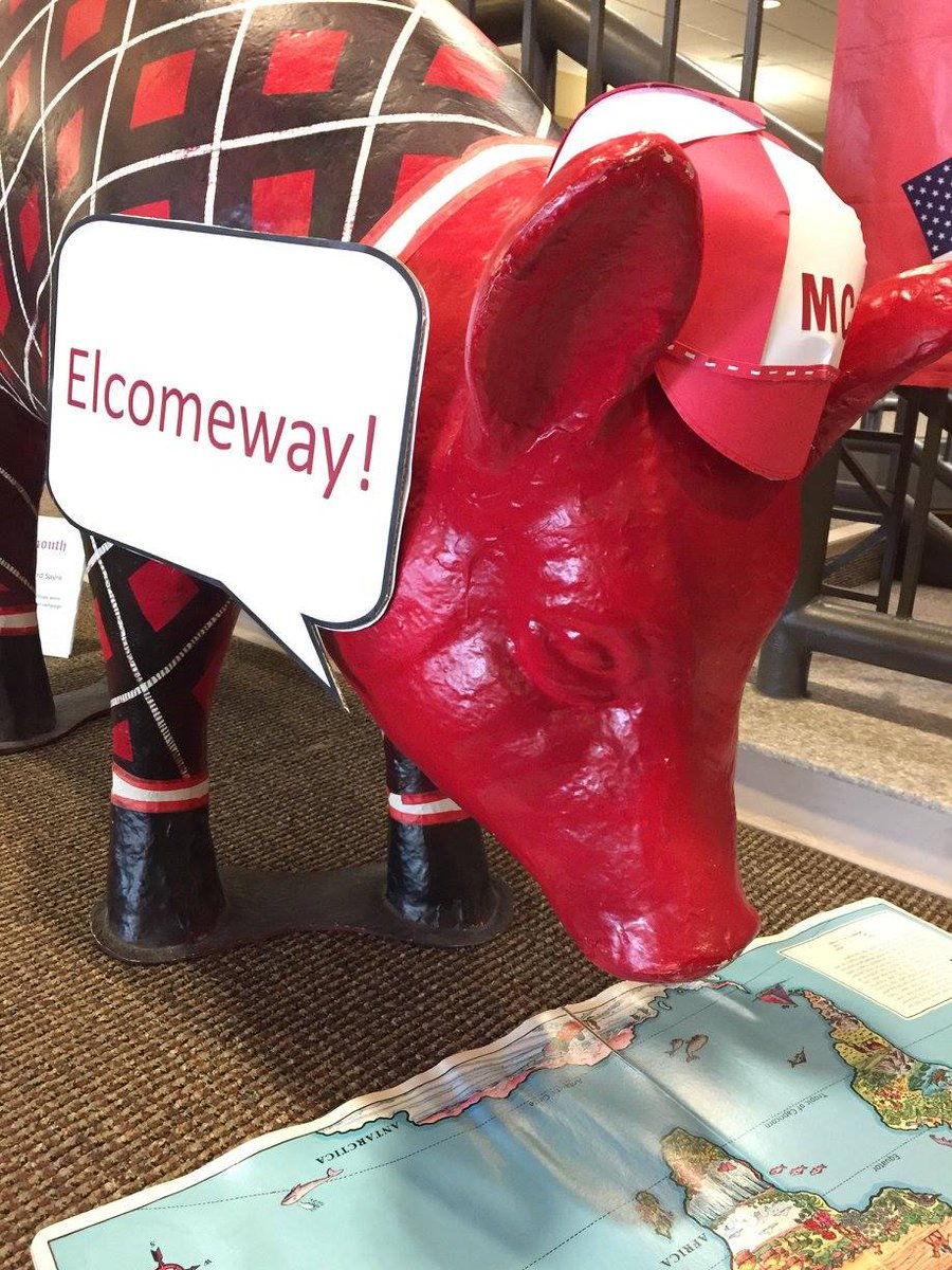 #Homecoming2019 Hewes Library Hours:
Saturday Oct. 19th  9am-5pm
Sunday Oct. 20th 12pm-12am
#elcomeway #welcome #yourlibrary #ScotsForever