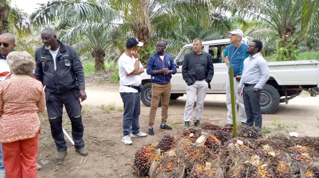 GTCCongo's tweet photo. Visite du #FIDA et de la @FAOCongo au #CAPFOR de @GTCCongo
Présentation de notre palmeraie éco-responsable et de notre programme d’aide aux coopératives du district d’Ignié. https://t.co/rcIRAJe17I