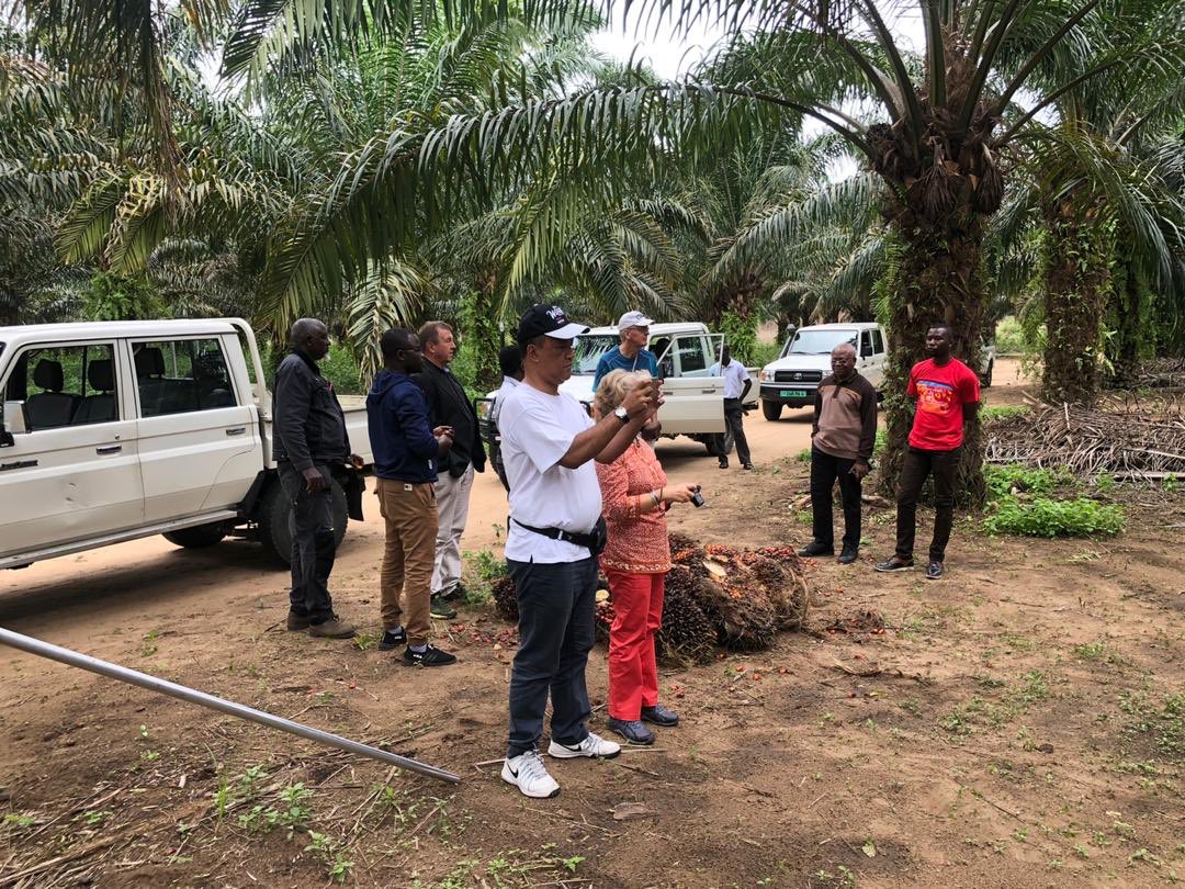 GTCCongo's tweet photo. Visite du #FIDA et de la @FAOCongo au #CAPFOR de @GTCCongo
Présentation de notre palmeraie éco-responsable et de notre programme d’aide aux coopératives du district d’Ignié. https://t.co/rcIRAJe17I