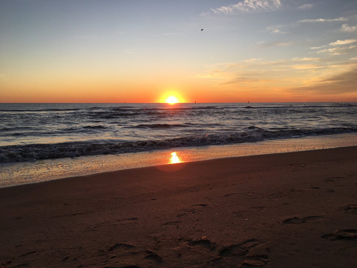 Robin Latchford tweet media