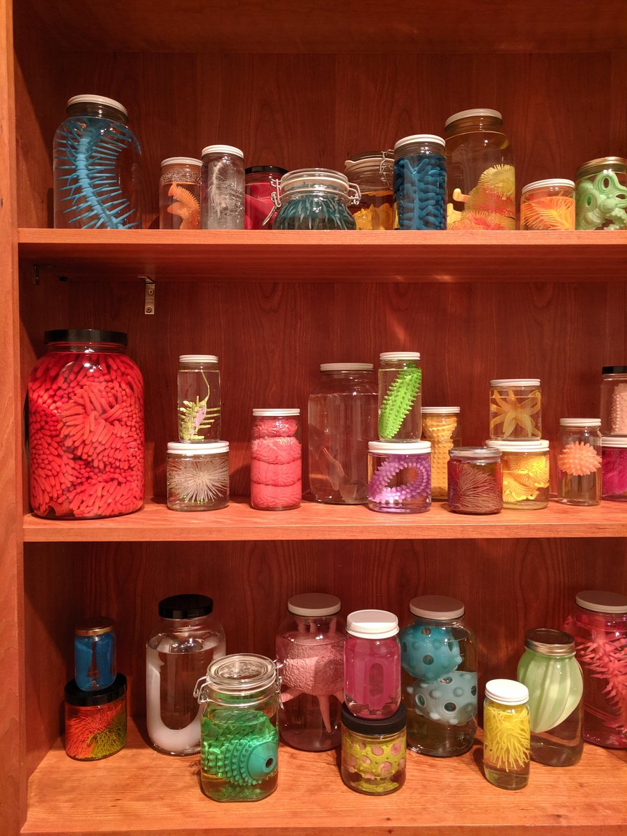 jkomarolivarez's tweet photo. From #PlasticEntanglements exhibition @ChazenArtUW : art about and from our intractable relationship with this material. Mark Dion's Institute for Invertebrate Marine Biology, made of plastic toys, eerily mimics the real world. #ITweetMuseums https://t.co/8Htswwr7Pj