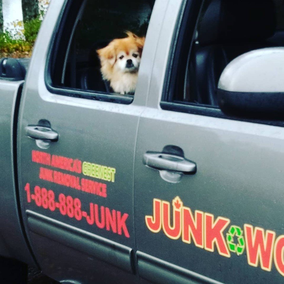 Jesse loves to go on jobs with us ! Can't get rid of all your #junk this weekend fr #curbsidegiveaway ? Call us ! We haul junk & sort it so it gets #recycled ♻️any use able #childrenstoys #clothing or #furniture etc will be #donated to #bigbrothersbigsisters or Beacon House !