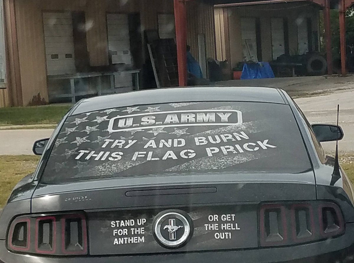 Try and burn this flag, prick.*