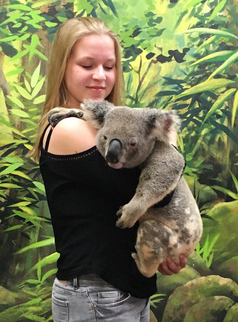 Lisa a pris un koala dans ses bras pendant son séjour linguistique en #Australie !