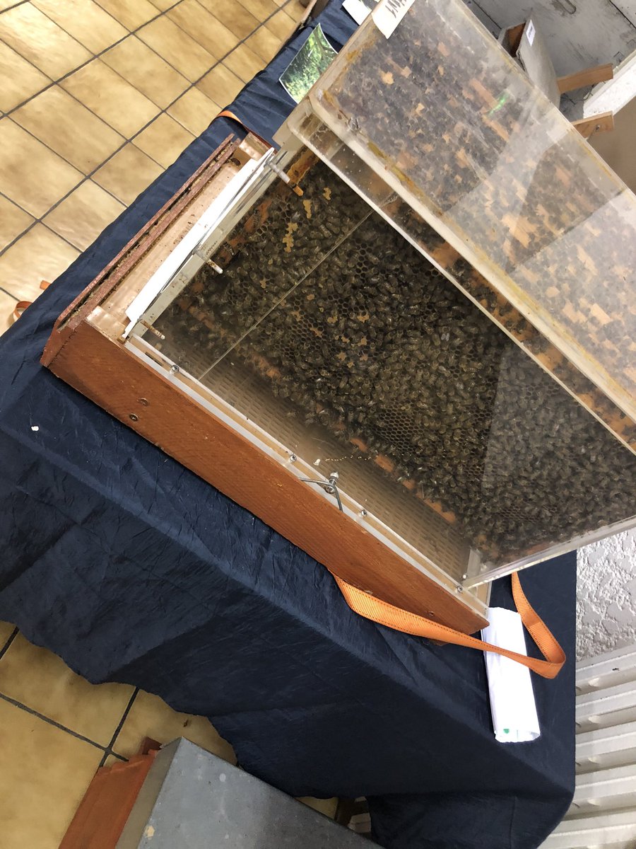 jbs64's tweet photo. Ce soir à #urcuit CONFERENCE
" Le monde des abeilles " https://t.co/Qb0DvuANSv