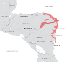El segundo motivo es la expulsión de los colonos ingleses intrusos en las costas de la Capitanía General de Guatemala, concediendo licencias para operar en corso a los comerciantes de Campeche.