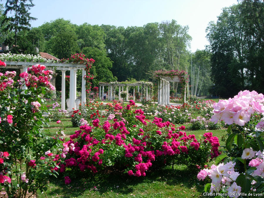 Quand on vit au milieu des roses, on en prend malgré soi le parfum.