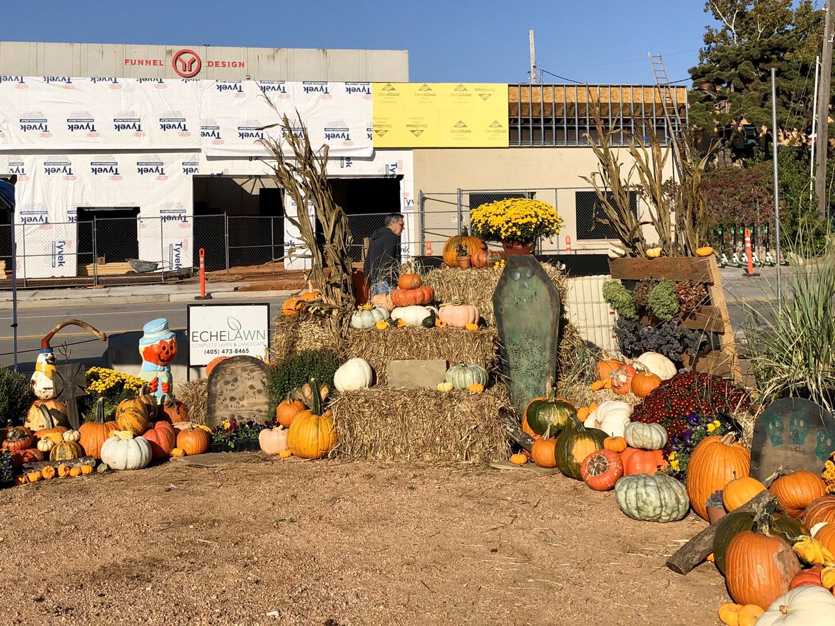 DowntownOKC's tweet photo. Perfect day in @midtown_okc for shopping local. @IndustryFlea is happening today (open until 6pm). Stop by the corner of 10th and Hudson for local, vintage and handmade finds. Plus alpacas. #MidtownWalkabout https://t.co/g6yecJWN0s