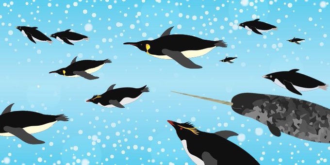イワトビペンギンのtwitterイラスト検索結果