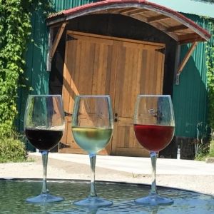 Fall Colors and Aromatic Wines at Rezabek Vineyards this Weekend - mailchi.mp/a5ed4730f51a/r…