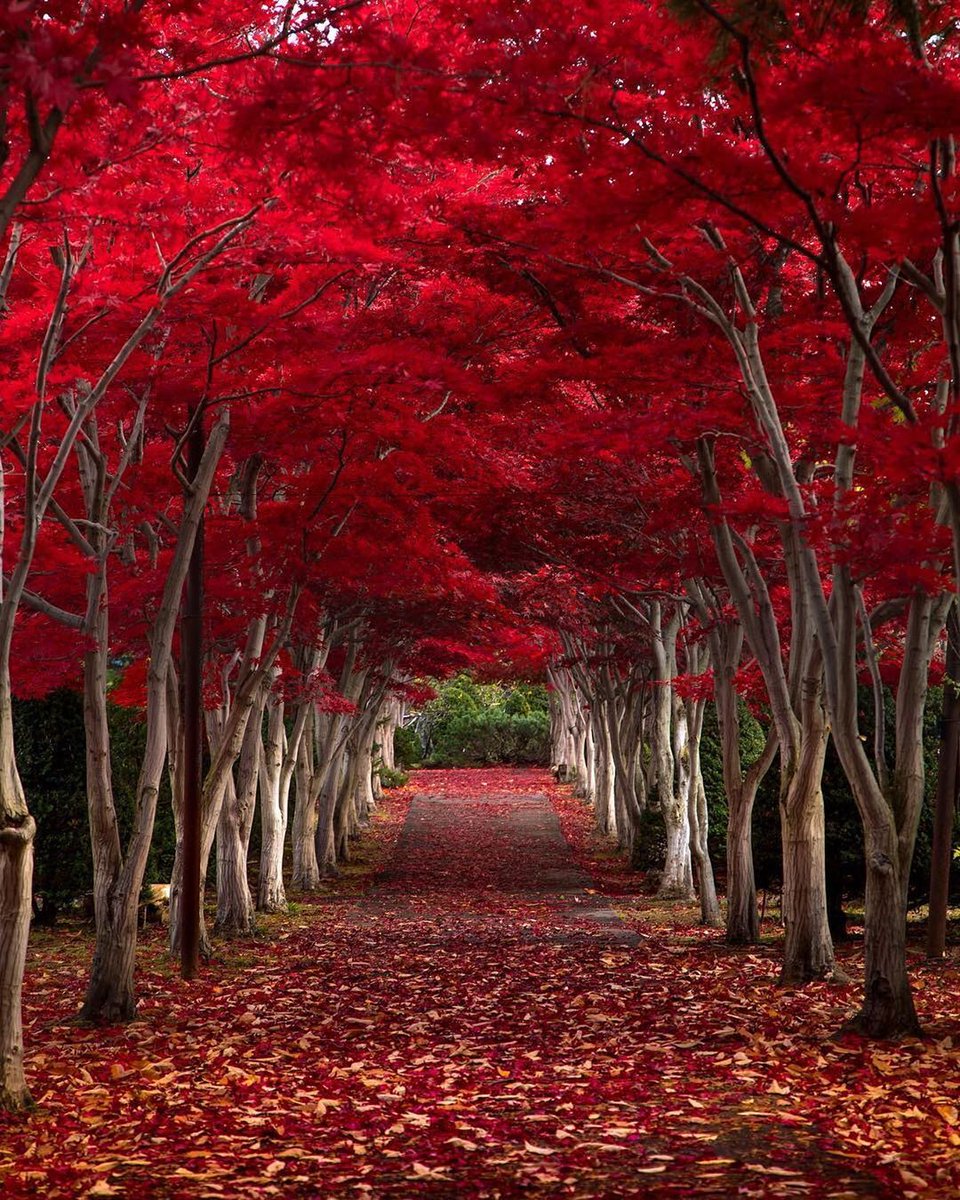 EarthPix photo