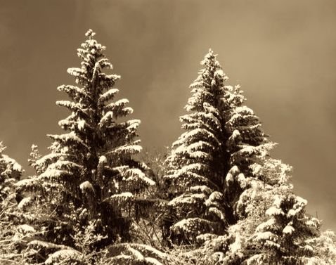 CodeFelixGrafic's tweet image. #AssuranceVie, #TauxNégatifs et #LoiSapinII ?

&quot;La conflagration de la bourgade s&apos;opérait avec une violence extraordinaire.Ces maisons, construites en sapin, flambaient comme des résines&quot;
#JulesVerne in #MichelStrogoff

Regardez
#Suravenir
#CreditMutuelArkea

Réfléchissez...