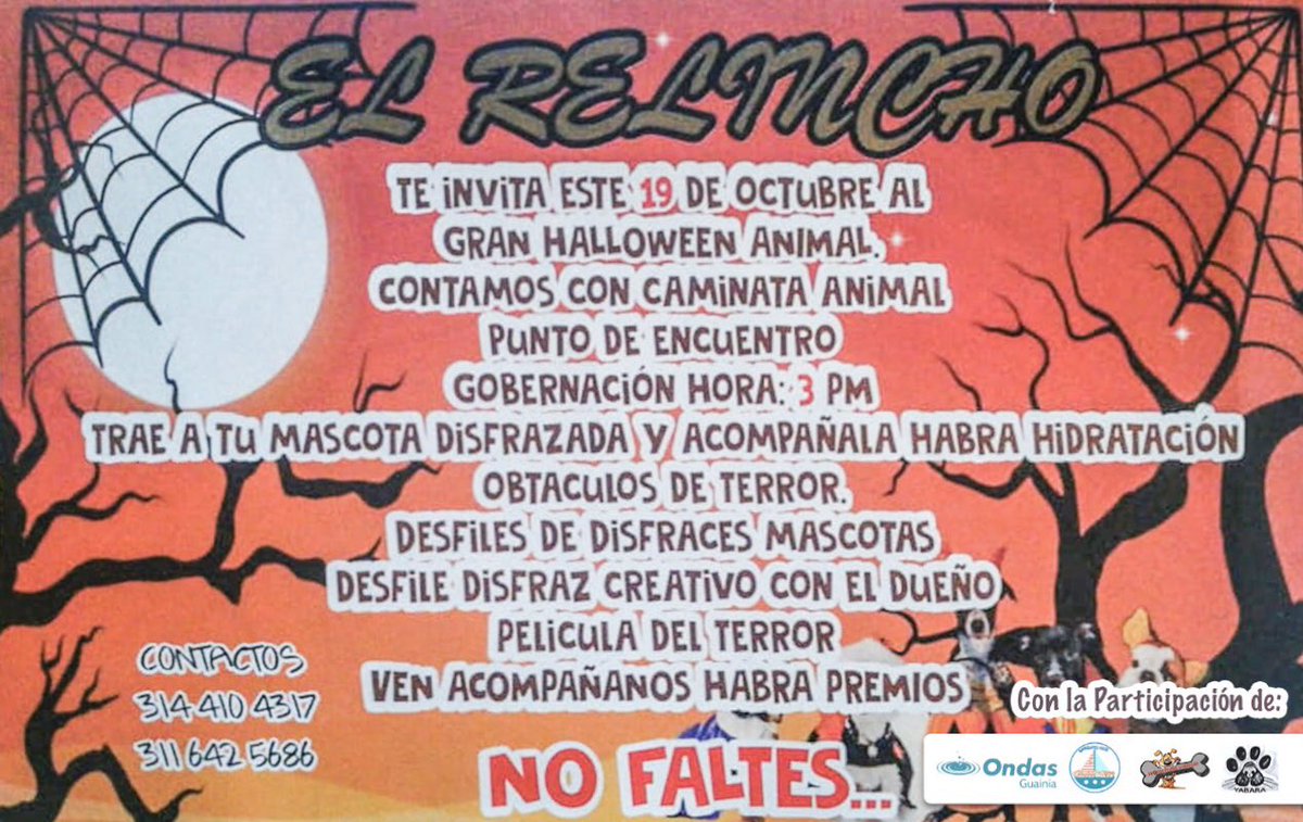 A las 3 de la tarde los grupos ondas “Barquito Feliz”, “Protectores de Animales” y “Yabara” presentarán sus proyectos, como parte de las actividades programadas por El Relincho
