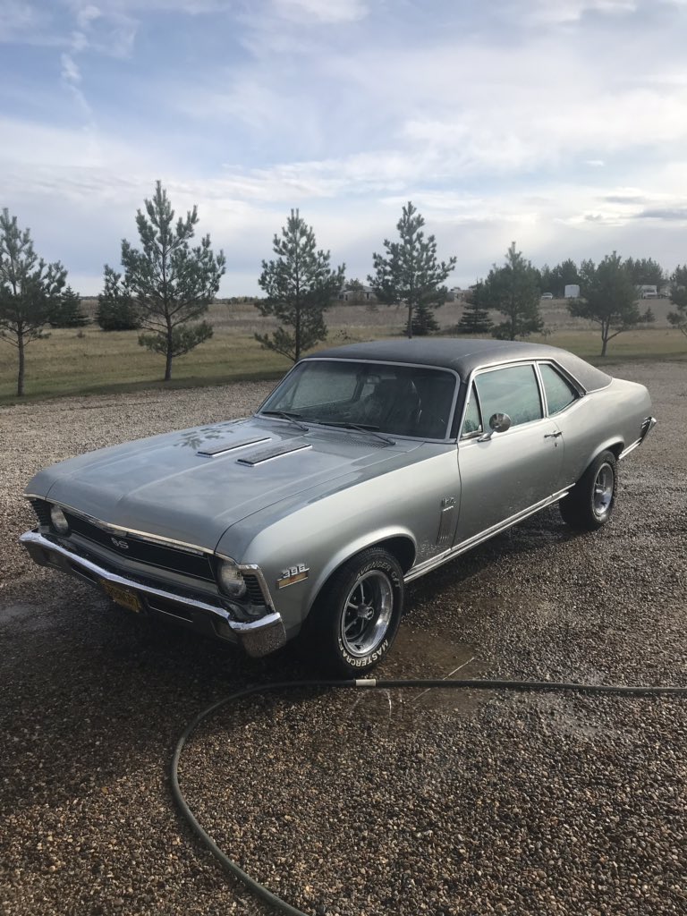 grbngrz1's tweet photo. One last bath. More dust and fly shit on it from sitting... #driveyourshit https://t.co/39iq24JFIj