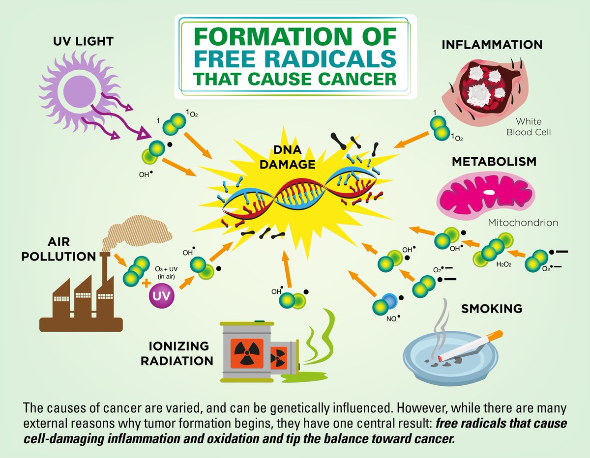 CountryVitamins's tweet photo. Some causes of cancer that always serve as good reminders!

#CountryVitamins #CancerPrevention #CancerAwareness #WomensHealth #MensHealth #KidsHealth #Wellness #Nutrition #FightCancer #BeatCancer #Health https://t.co/2IHoestCAs