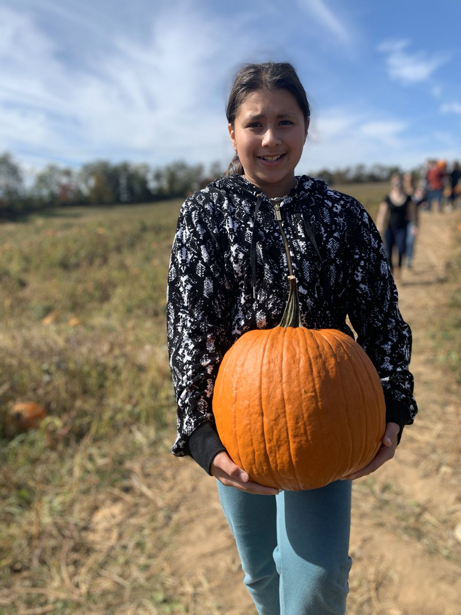 PKBurchick's tweet image. Pumpkin patch 🎃@rockhillorchard @rlburchick