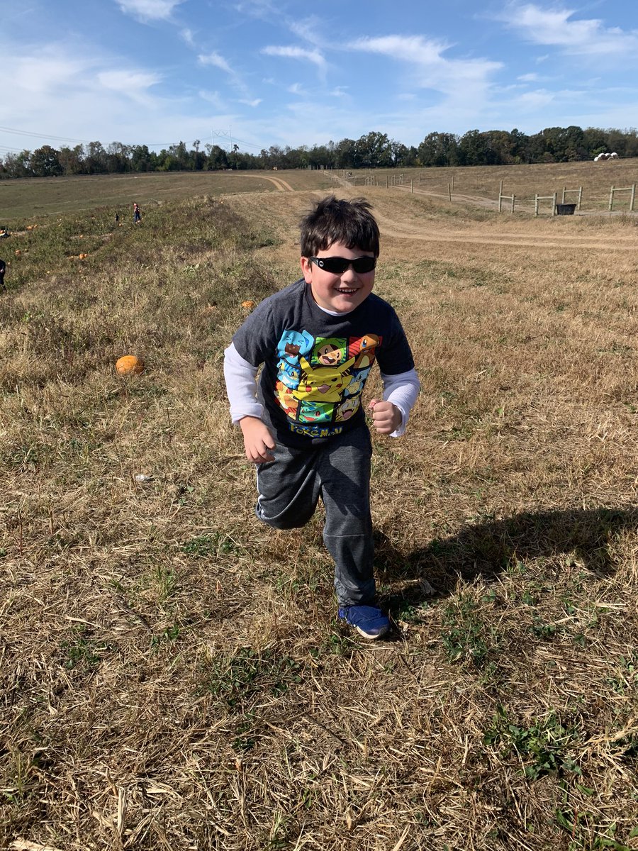 PKBurchick's tweet image. Pumpkin patch 🎃@rockhillorchard @rlburchick
