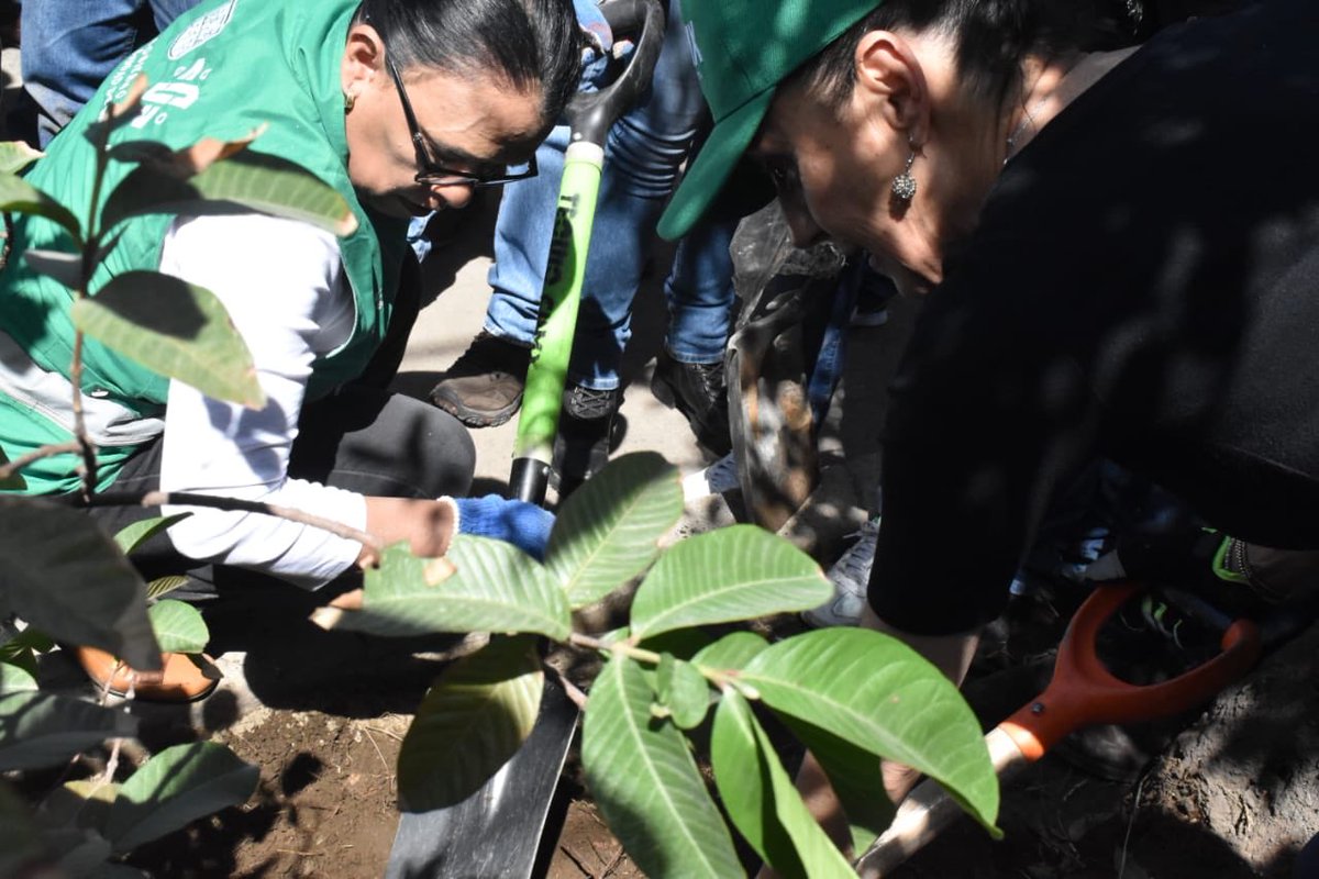 Estuvimos con la #JefaDeGobierno, @Claudiashein, en el #SábadoDeTequio de #Calle7. Una zona que se ha recuperado gracias al trabajo coordinado de @GobCDMX, @Alc_Iztapalapa, @IztacalcoAl, @Edomex y @GobNeza