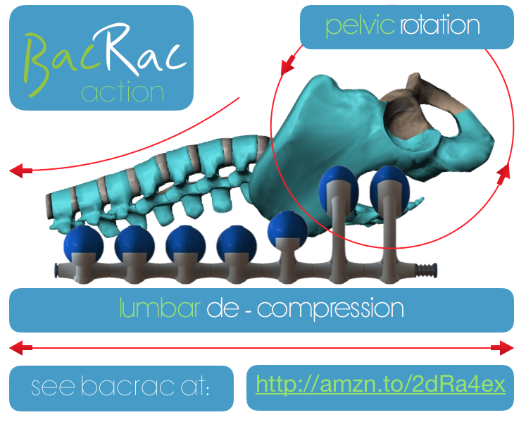 BacRac action/mechanism for #backpain #backache #lumbago #sciatica