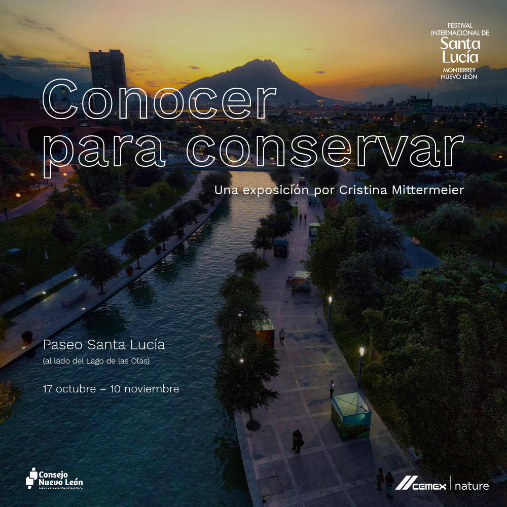 Si estás en Monterrey 🇲🇽en los próximos días, no olvides visitar la exposición de fotografía "Conocer para conservar" de <a href="/cmittermeier/">Cristina “Mitty” Mittermeier</a> en el <a href="/fsantalucia/">Festival Santa Lucía</a>, sus fotografías han ilustrado nuestra Serie de Libros de Conservación por más de 25 años. ¡No te la pierdas! 👏📸