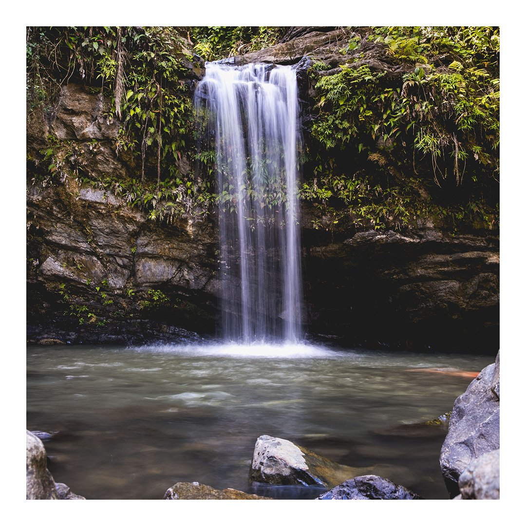 WyndhamGrandRM's tweet photo. Where else can you spend an entire afternoon listening to the soundtrack of the rainforest, just minutes from your resort room? #WyndhamGrandRM #RediscoverRioMar https://t.co/kcAbF3oXLB
