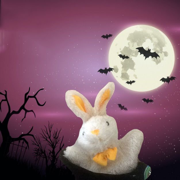 As the week after next is half term (28th Oct - 1st Nov), we have no sessions, so that means this coming week is Halloween week! If you want to dress up your baby or toddler feel free (and yourself of course!), but you don't have to. Can't wait to see all the outfits!