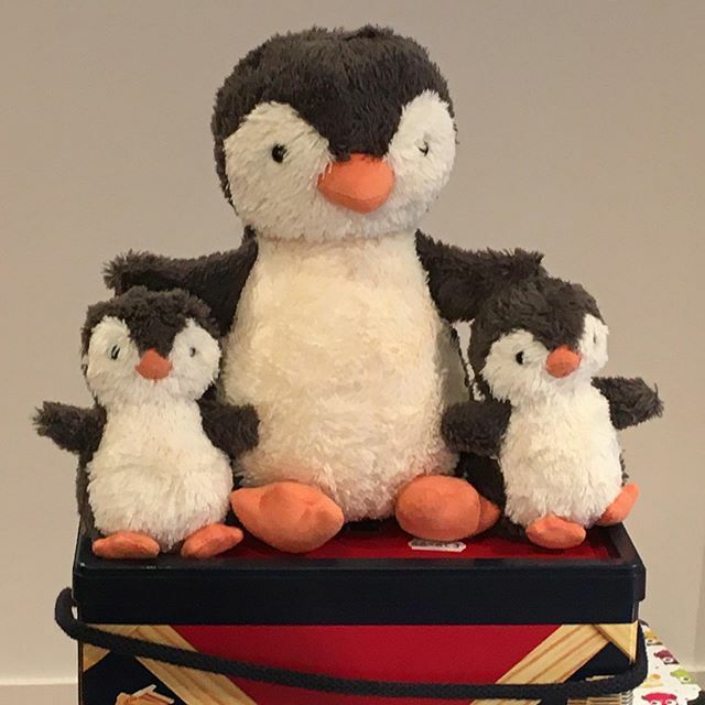 TheLittleLegsCo's tweet photo. Our little Jellycat penguin family 😍 #penguin #softtoy #ealing #ealingbrodway https://t.co/FaPXhB2yuk https://t.co/SVRslXv8b0