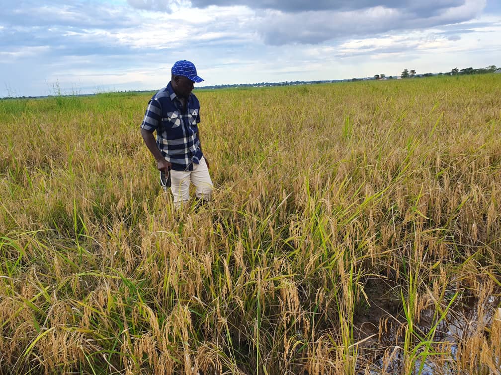For us in Benue, Agriculture is the way to go.