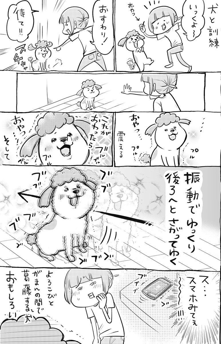 犬と猫どっちも飼ってると、葛藤のようすも毎日たのしい。 