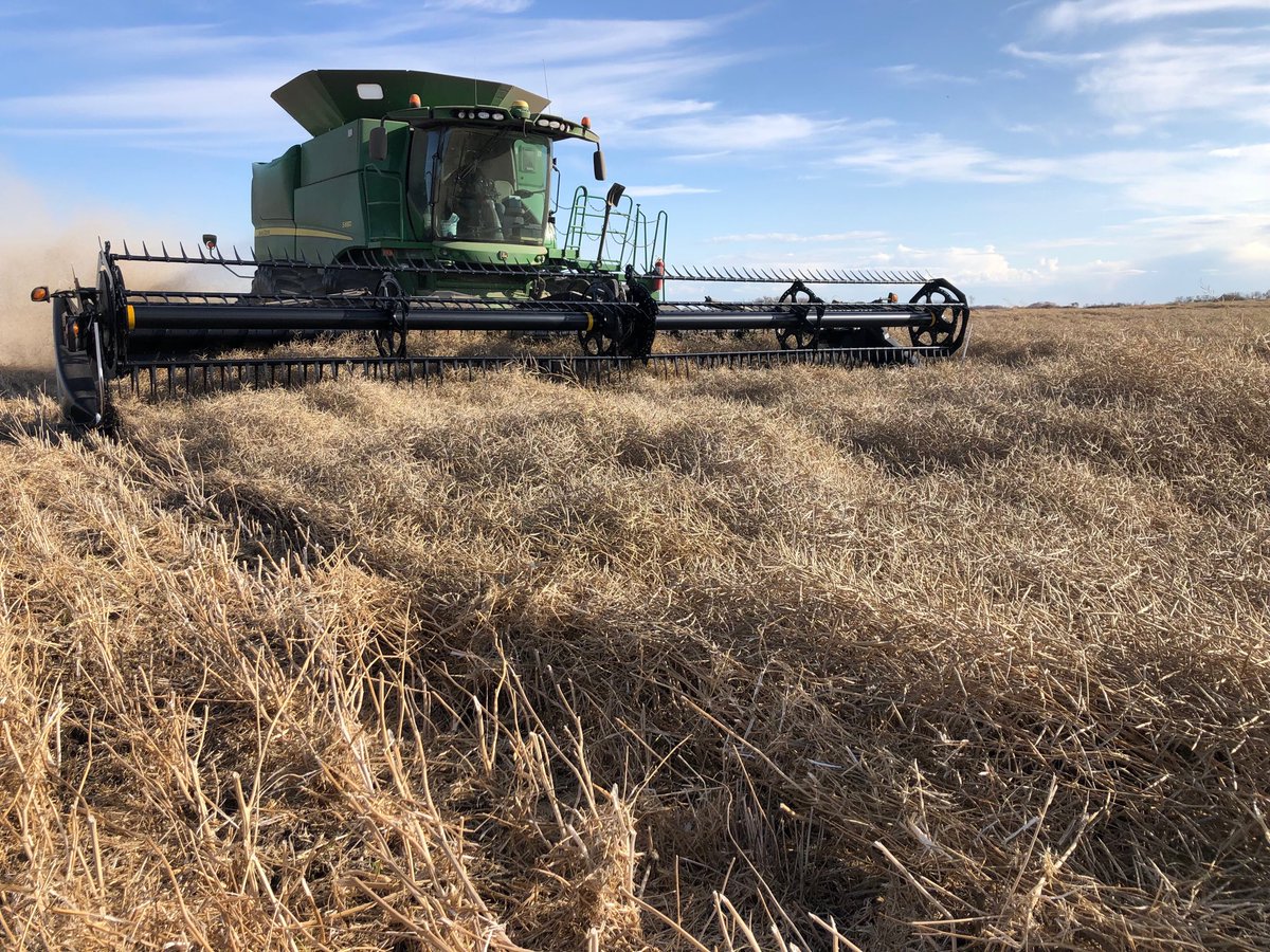 KP_VSA_Farm's tweet photo. #harvest19 crawling along. Not sure about #selltheswather. Just don’t ask the operator as he’s frustrated with the mess the snow made. https://t.co/xfBfgY4gHp