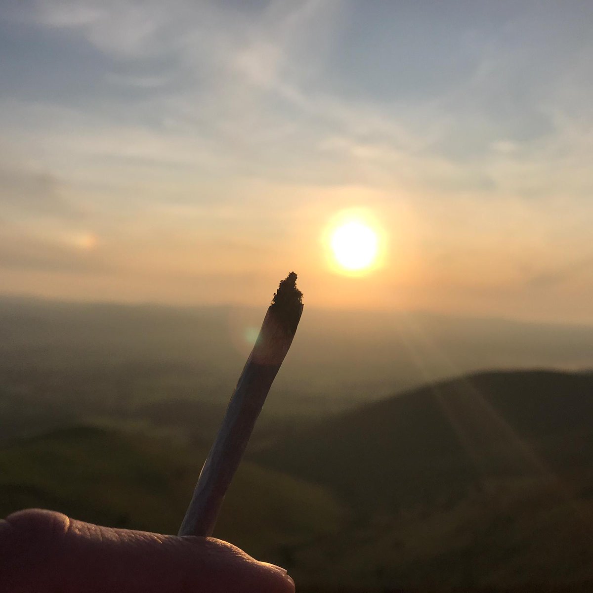 Hope everyone is having a great weekend, found this photo from our members group , cannot remember who’s it is but I have a good guess! 

<a href="/UKCannabisClubs/">UK Cannabis Social C</a> 

#ukcsc #wales #cymru #wrecsam #wrexham
